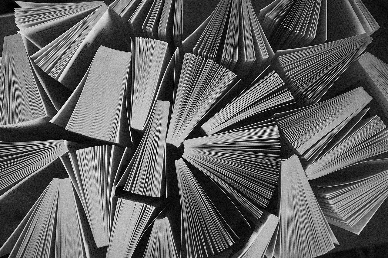 Armadilha das Opções: Como Escolher Material de Estudo